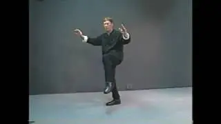 Yang Stle Tai Chi -54 Form - 2005 - Gilman Modification