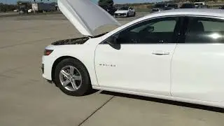 University of Iowa Surplus - Vehicle Sales: (2019 Chevrolet Malibu Fleet, 1.5L, Lic. #8638)