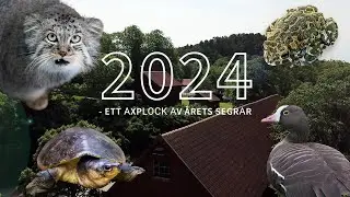 Nordens Ark - Segrar 2024