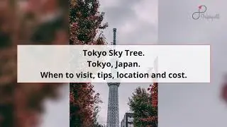 Tokyo Skytree, Tokyo Guide - What to do, When to visit, How to reach, Cost  Tripspell