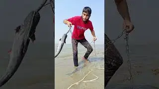 Amazing big fish throwing for shark hunting #fishinglife #fishing #riverside #reels