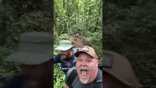 Chiupacabra encounter in Brazil forest 😱 #scary #funny #monster
