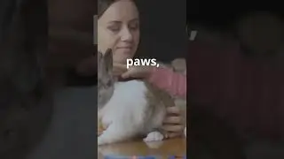 Benny the Brave Bunny | A Heartwarming Kids&rsquo; Story About Courage!
