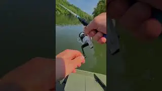 Sunfish on a crankbait #sunfish #fishing #crankbait #topwater #riverfishing #jonboat