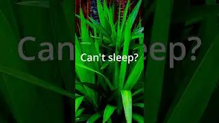 Can't Sleep at Night? रात को नींद नहीं आती? #sleep #asmr #sleepsounds