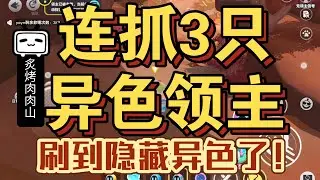 连抓3只异色领主！终于抓到隐藏异色了！还刷到了可爱的荔墩墩！