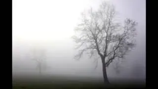 Scarry