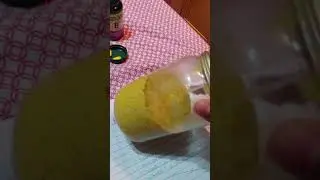 How to make hornworm chow