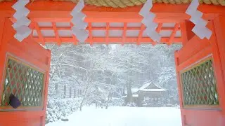 京都 貴船雪づくし2024：舞うように降り積もる幻想的な世界 , kyoto , snow