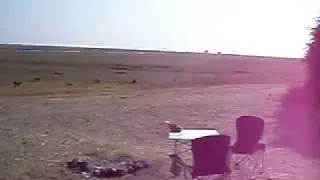 Baboon's revenge