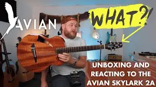 A guitar unlike anything I've played before. Unboxing my Avian Skylark 2A