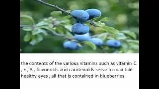 benefits of blueberry for healthy, cancer,brain and anti agin spy slidder