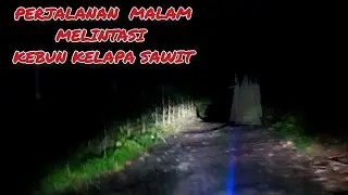 PERJALANAN MALAM DI PEDESAAN MELINTASI KEBUN KELAPA SAWIT