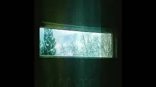 glyphosate - A0429