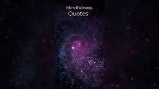Evening Inspiration: 4 Quotes for Mindful Living