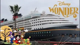 DISNEY WONDER CRUISE 