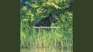 Peaceful Music for Rivers and Streams