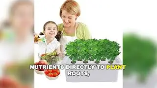 Grow Plants 3X Faster with Deep Water Culture Hydroponics 🚀