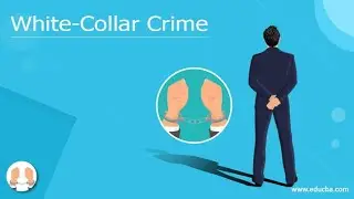 WHITE COLLAR CRIME AND ITS TYPES
