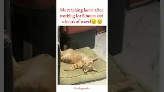 Reaching home after working for 9 hours and 2 hours of travel😣😣