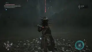 Lords of the Fallen - The Hushed Saint Boss Fight