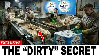 12 UK Toilet Paper Brands You'll Never Buy Again After Knowing How They Are Made