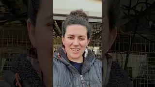 Who are we at Tre Dheonu De Rabbitry. #rabbitry #homestead #urbanhomesteading 
