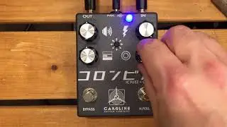 5 Minutes with the Caroline Shigeharu Fuzz - Pedal Demo