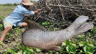 Unique Fishing 2023 Catching Big Catching Fish In Dry Season.New Fishing 2023