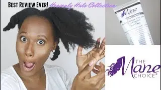 The Most Detailed Review | The Mane Choice Heavenly Halo Collection