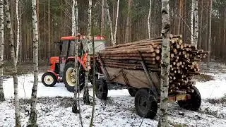 Wywóz Drzewa z Lasu 😀U-R-S-U-S 4011✌
