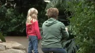 Denver Tourism : Denver Butterfly Pavilion: Overview