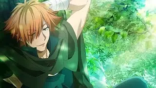 Robin Hood amv Fate
