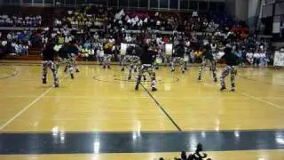 Michigan City Soul Steppers in Decatur, IL 1ST Place  2010