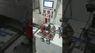 Automatic straw packaging machine #machine #factory