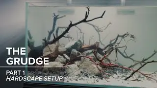 Hardscape Setup Tutorial High Tech 48 Gallon Planted Aquarium Aquascape | Part 1