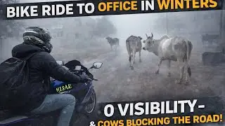 0 Visibility Winter Bike Ride to Office 🚨 🏍️ Fog & Cows 🐄on Road 😥 Hisar @NHisarVlogs