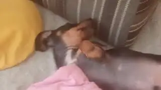 ИГРАЕМ В КС2 И СТЕНДОФФ