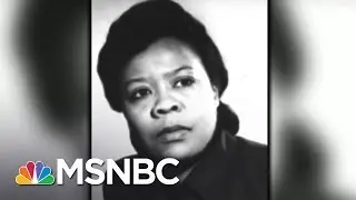 Marie Van Brittan Brown: Inventor | 7 Days Of Genius | MSNBC