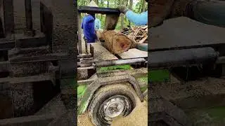 enjoy the process of cutting wood, make you dazed #usa #wood #wooddesigner #woodworking #woodscraft