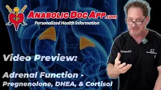 Video Preview: Adrenal Function - Pregnenolone, DHEA, & Cortisol