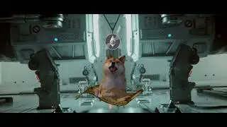 Year Of The Doge (Cryptocoin Diss Track)