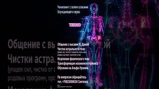Мой ТГ:  