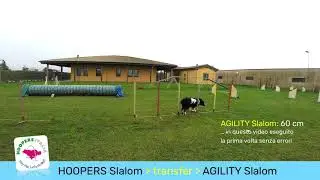 HOOPERS-ITALIA: lo slalom