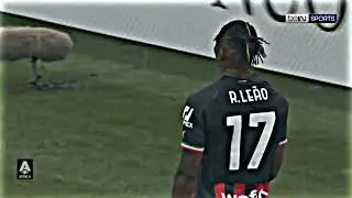 Leao free 4k clip for edits | free clips 4k