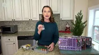 Battery Organizer and Storage Case with Tester on QVC