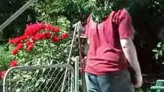 Greenscreen and The Headless Horsemen