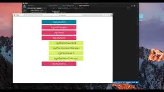 Angular 4 Lifecycle