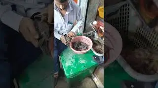 Karachi : How to prepare Mud Crab for SOUP Part 1