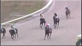 RACE 1 - DELTA DOWNS USA 30 JAN 2026